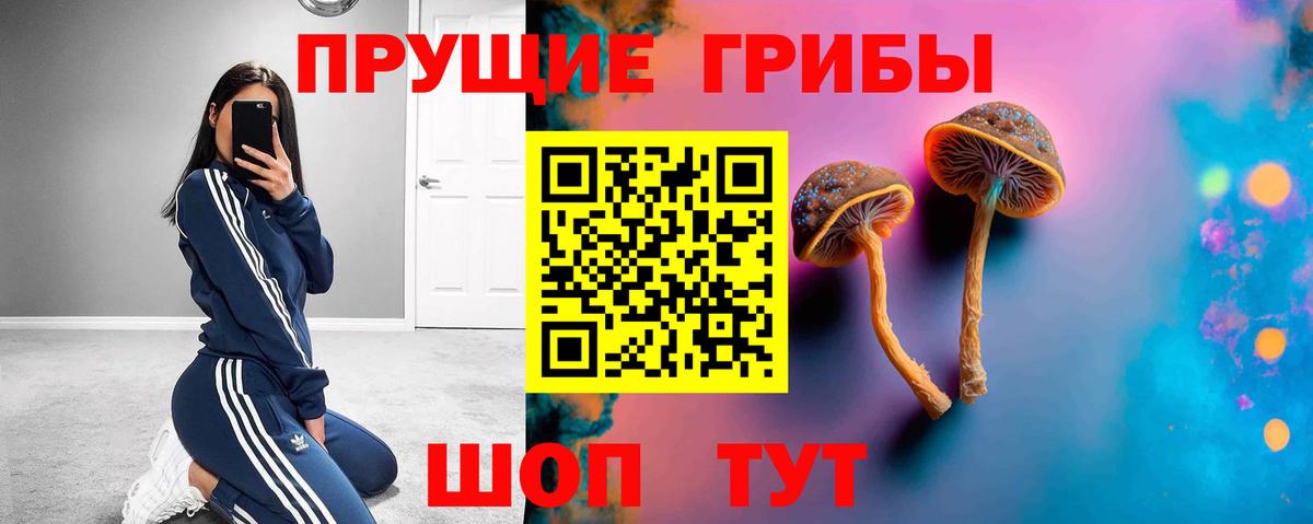 Псилоцибиновые грибы ЛСД  Галлюциногенные грибы Psilocybe  Вход с VPN  Малгобек 
